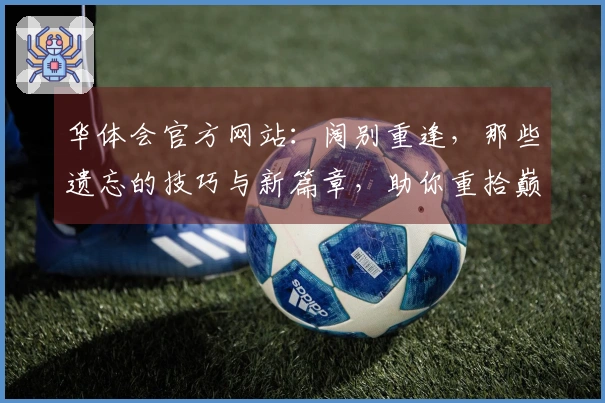 华体会官方网站：阔别重逢，那些遗忘的技巧与新篇章，助你重拾巅峰手感