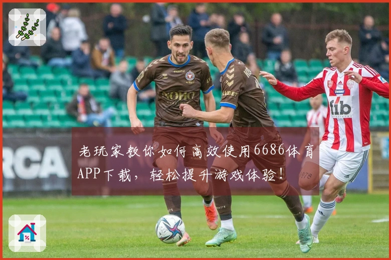 老玩家教你如何高效使用6686体育APP下载，轻松提升游戏体验！