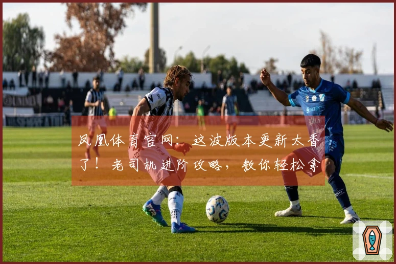 凤凰体育官网：这波版本更新太香了！老司机进阶攻略，教你轻松拿捏新版本！